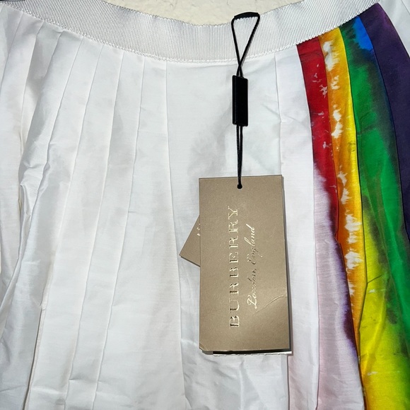 NWT Burberry Morlaix Rainbow Striped Skirt - Picture 5 of 8